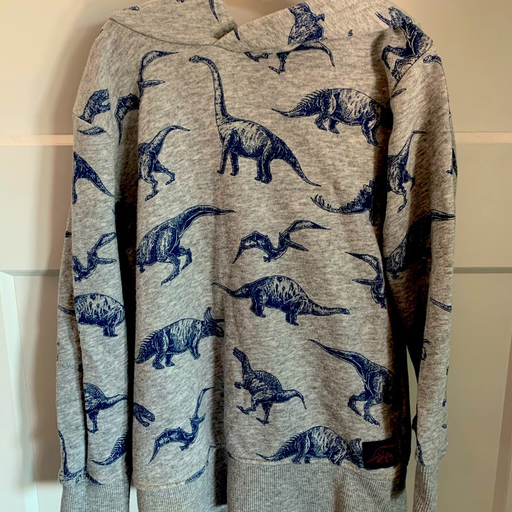 H&M Dinosaur Hoodie 4-6Y